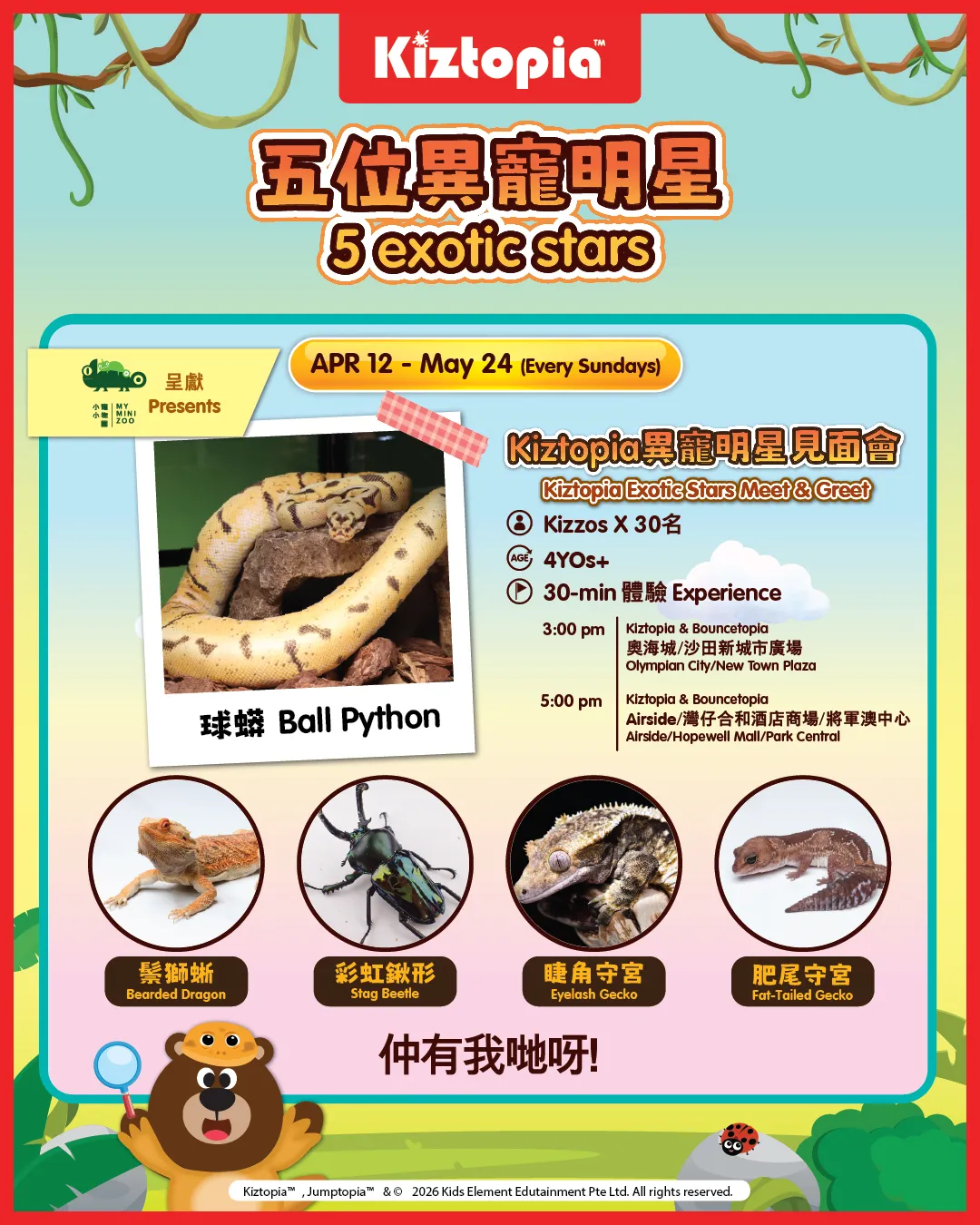 Minizoo Star Guest