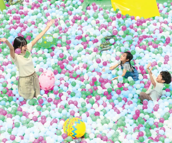 Jungle Adventure Photo 5